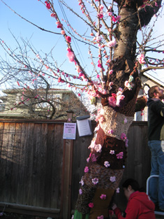 Cherry tree covered in yarn bark