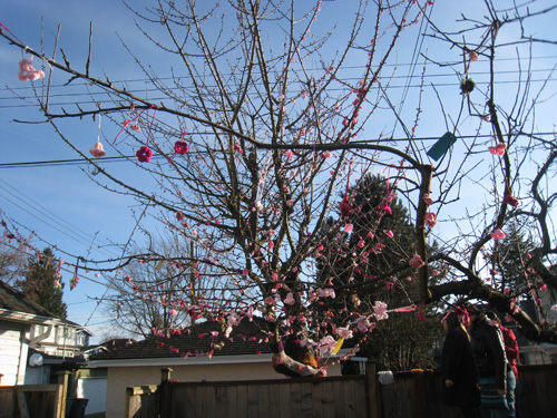 Yarnbombed Cherry Tree complete